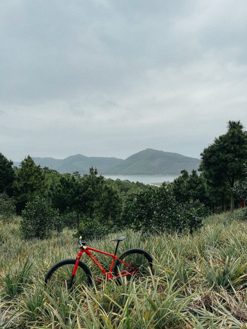 Cannondale F-Si Throwback Hi MOD – Viper Red - Hình ảnh 3