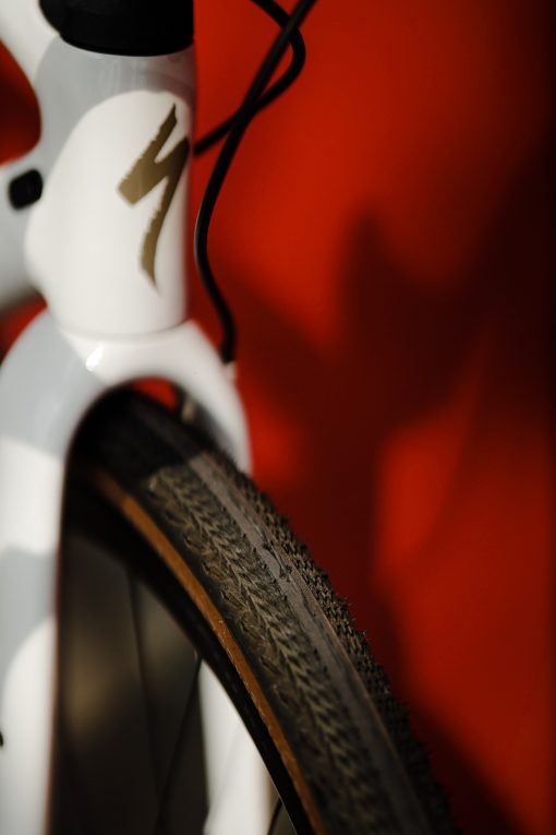 Specialized Diverge Expert Carbon - Hình ảnh 3