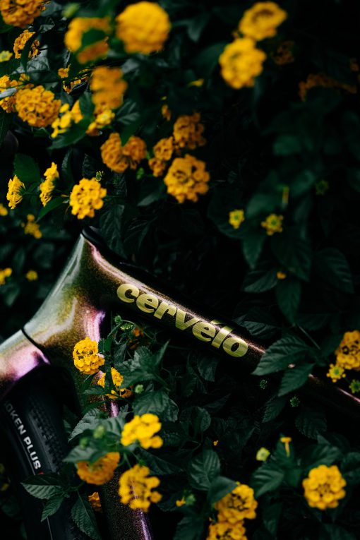 Cervélo Aspero 5 - Hình ảnh 4