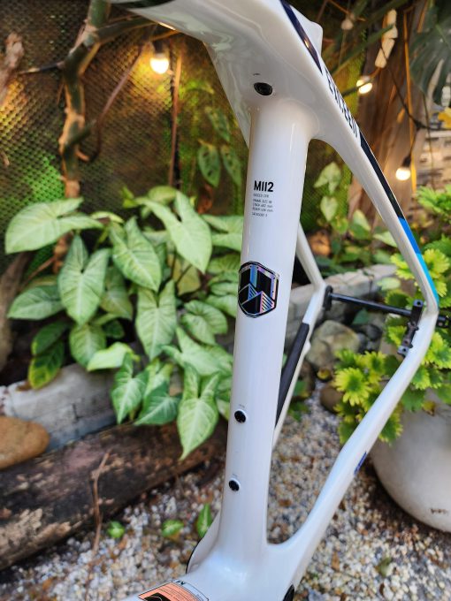 CANYON Exceed CFR Frameset - Hình ảnh 4