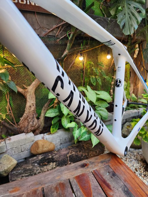 CANYON Exceed CFR Frameset - Hình ảnh 3