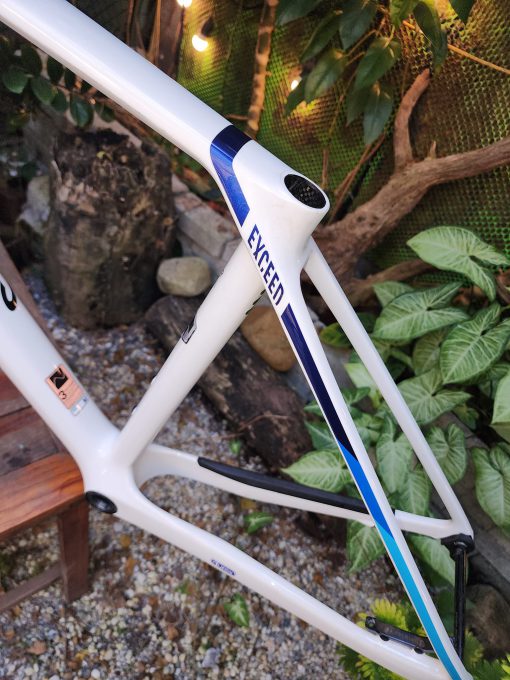 CANYON Exceed CFR Frameset - Hình ảnh 7