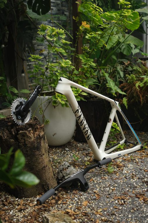 CANYON Exceed CFR Frameset - Hình ảnh 2